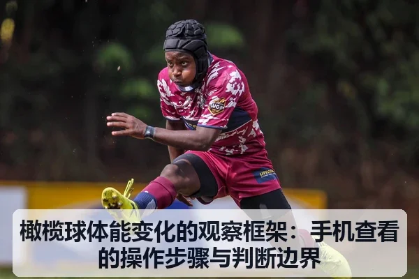 橄榄球体能变化的观察框架:手机查看的操作步骤与判断边界